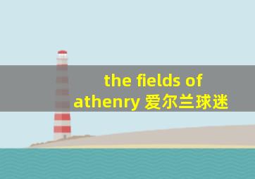 the fields of athenry 爱尔兰球迷